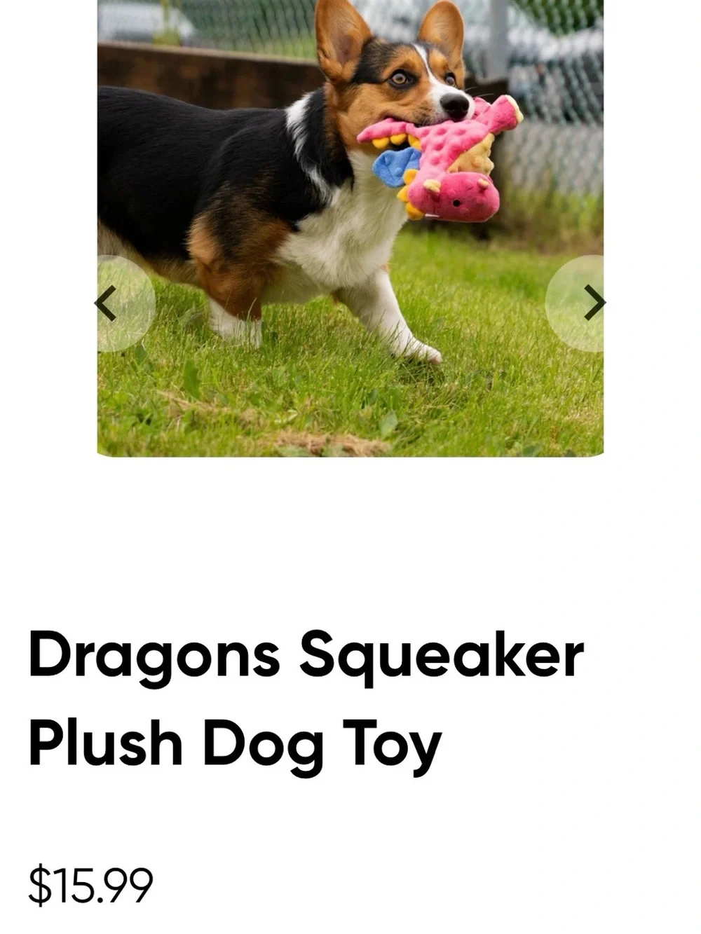 goDog Bubble Plush Dragons Squeaky Dog Toy